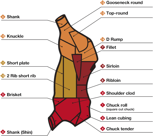 Beef Carcass and Respective Cuts